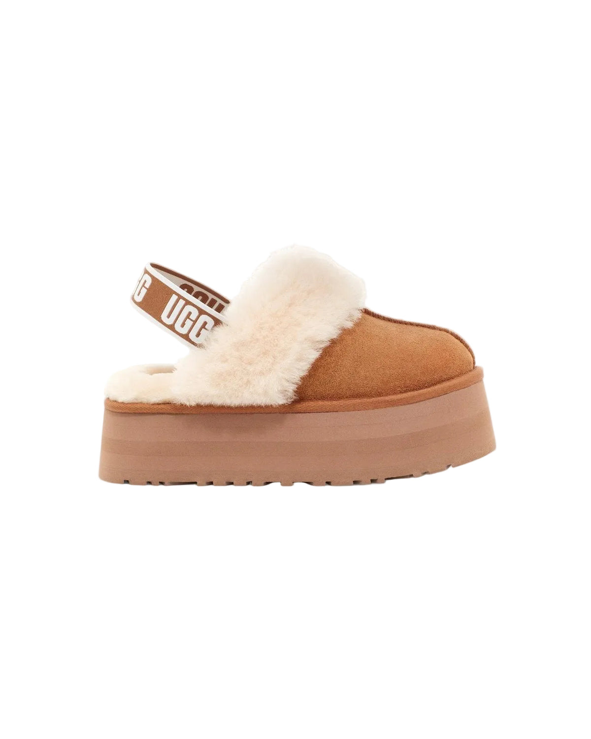 UGG tazz