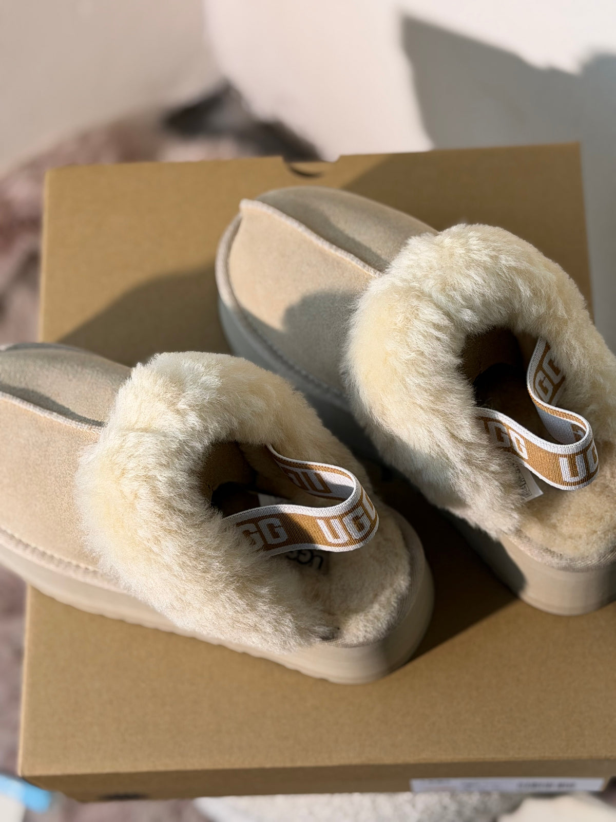 UGG tazz