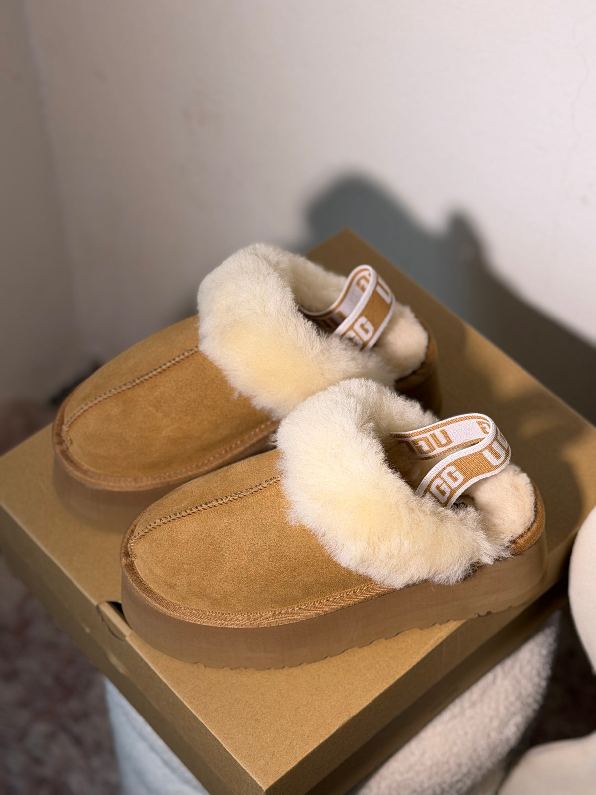 UGG tazz