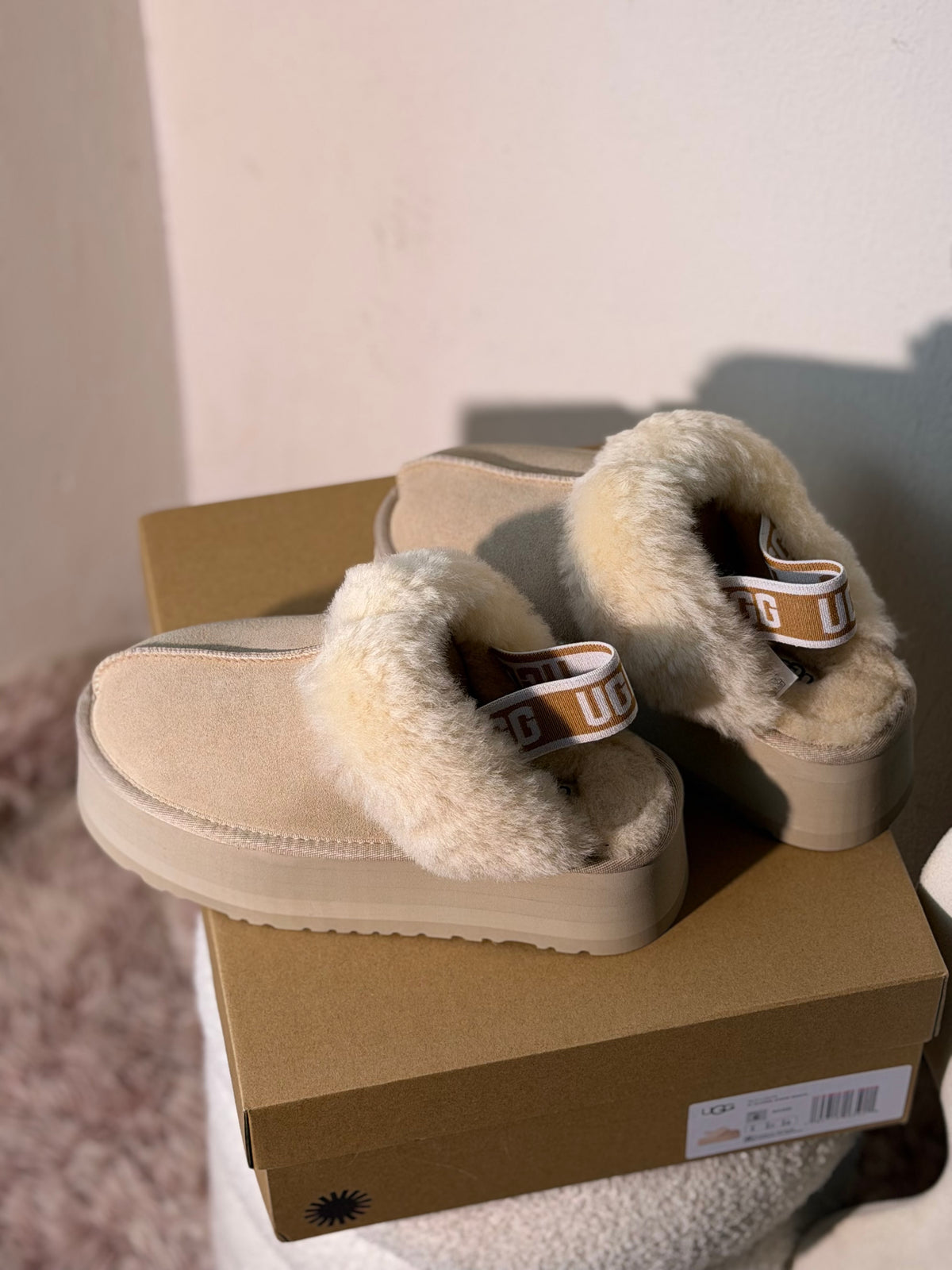 UGG tazz