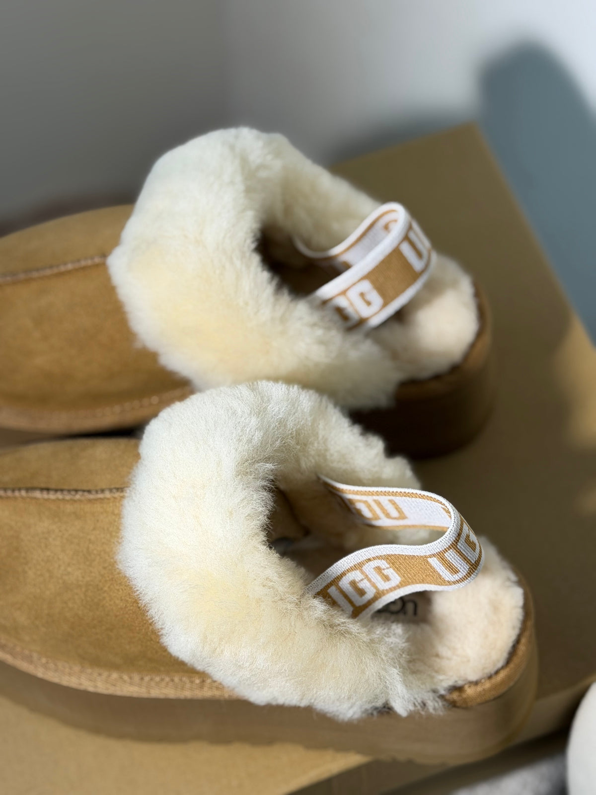 UGG tazz