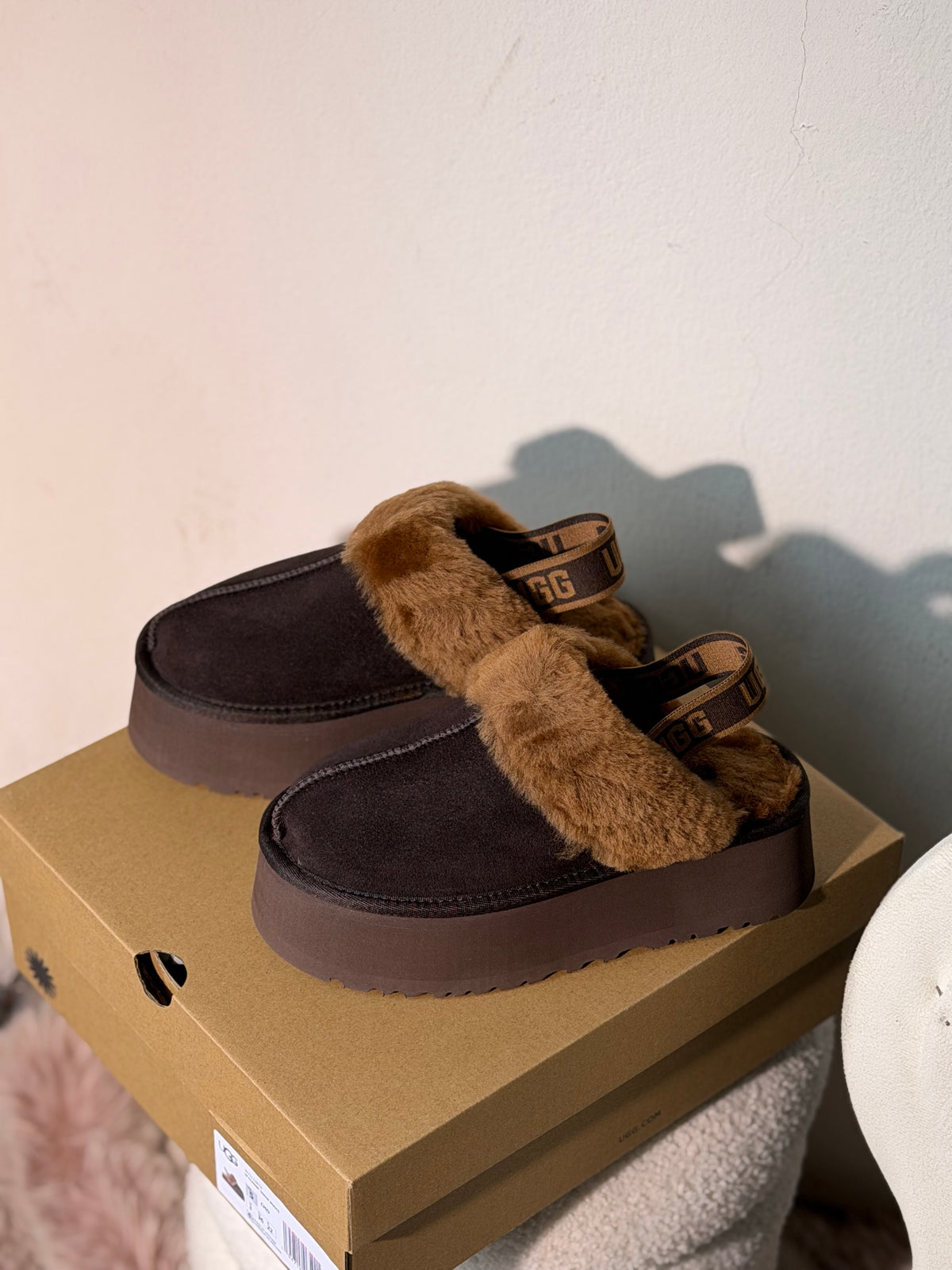 UGG tazz