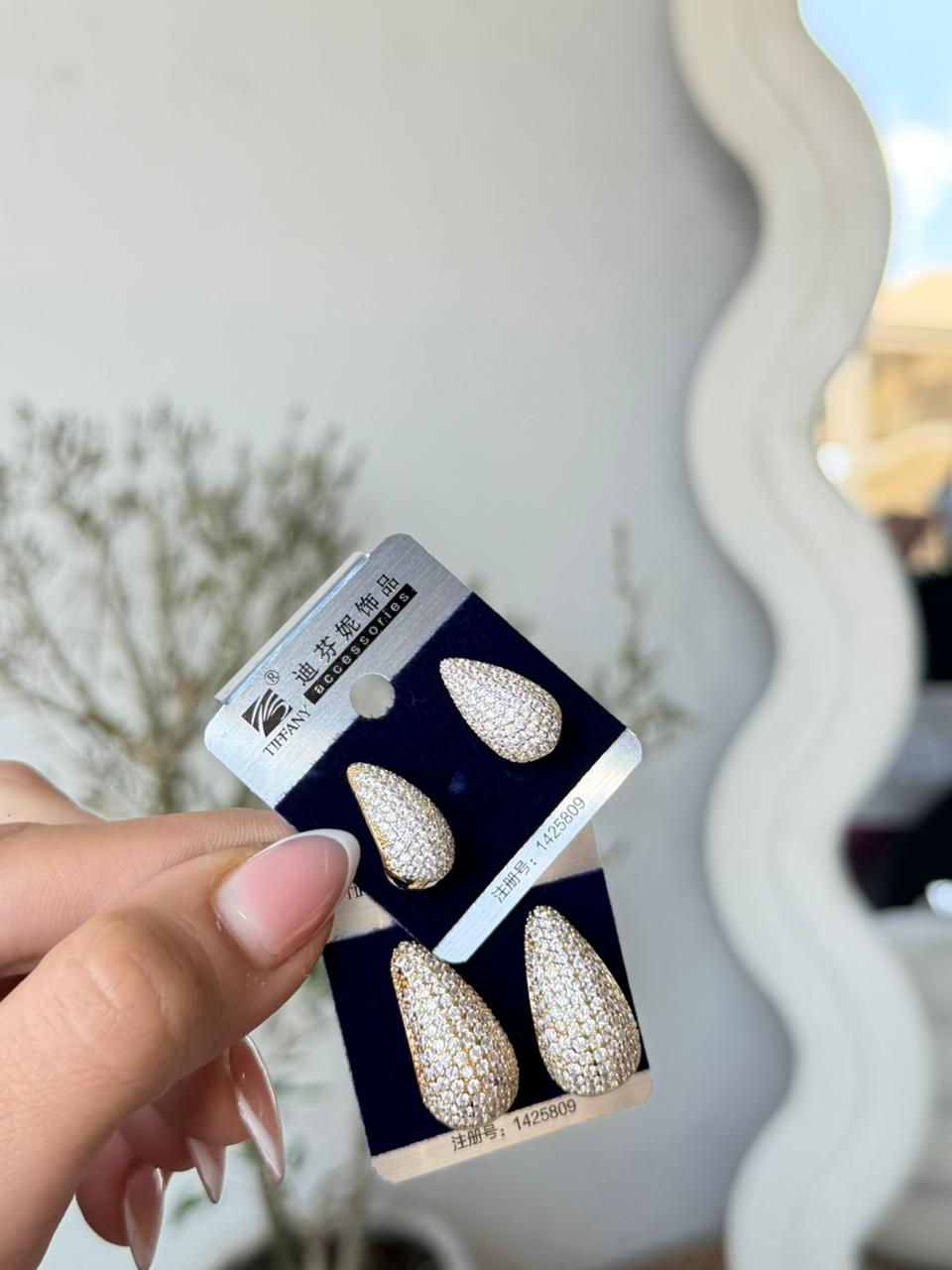 Earrings