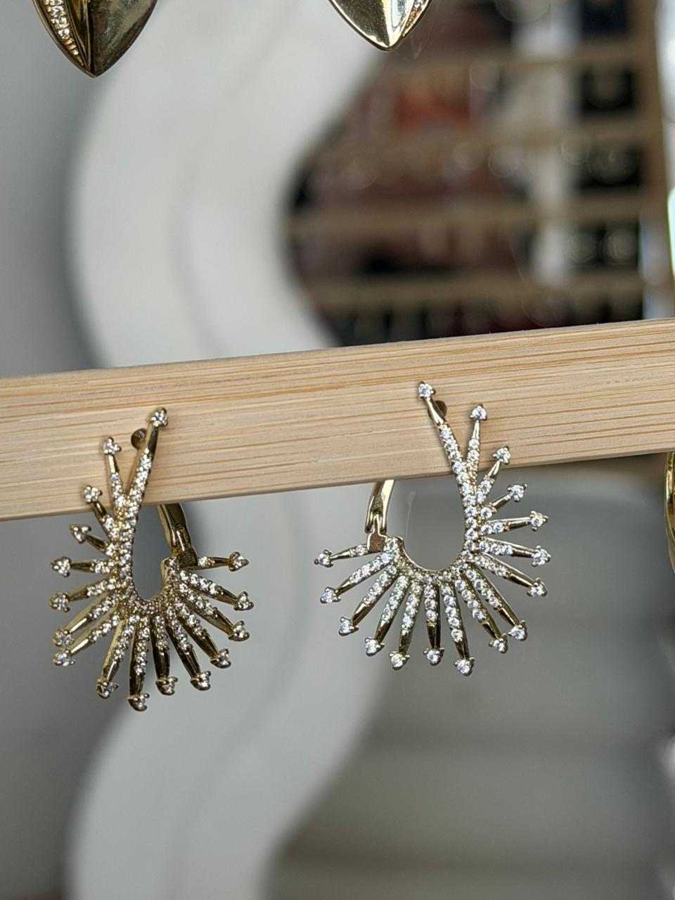Earrings