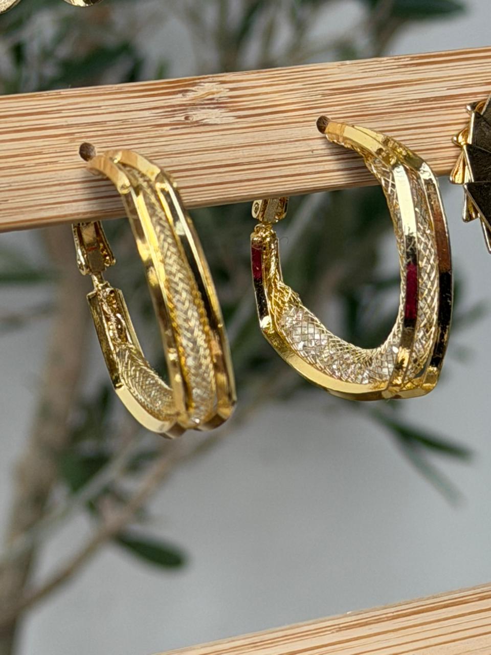 Earrings