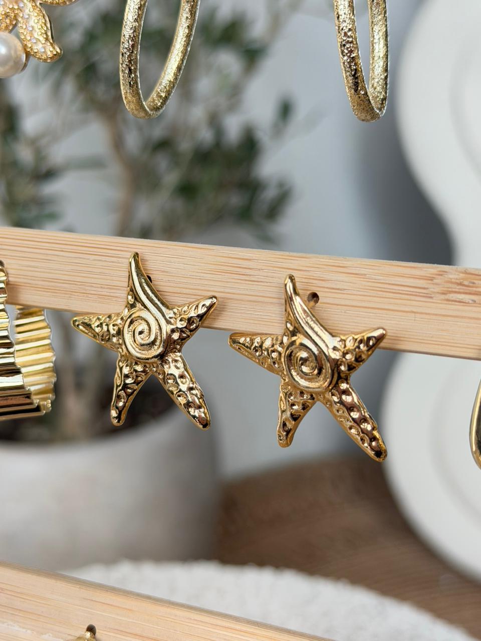 Earrings