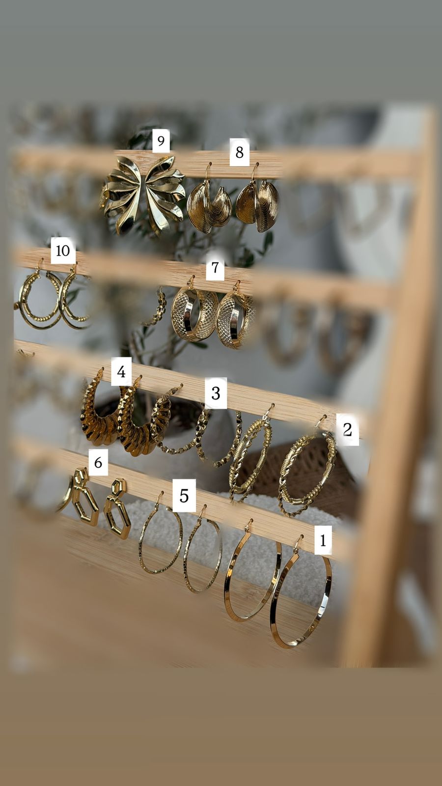 Earrings