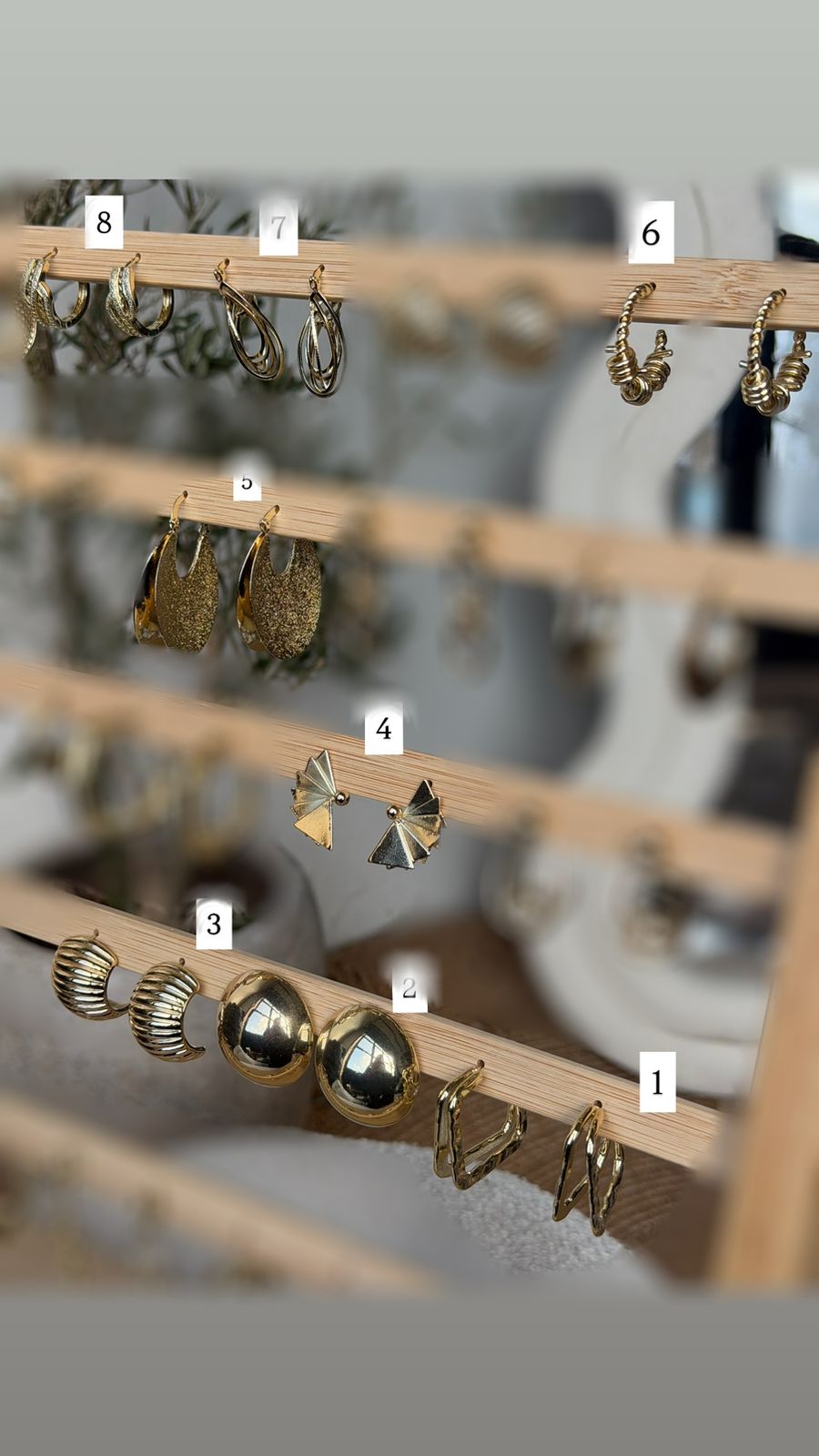 Earrings