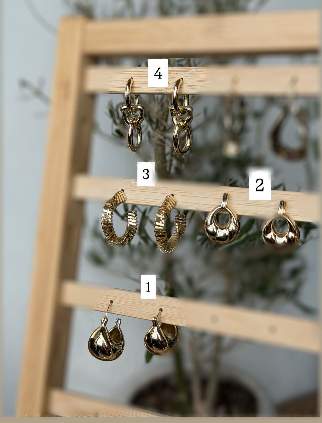 Earrings