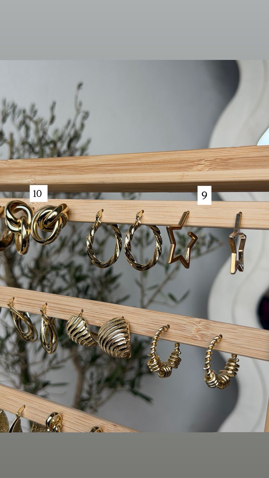 Earrings